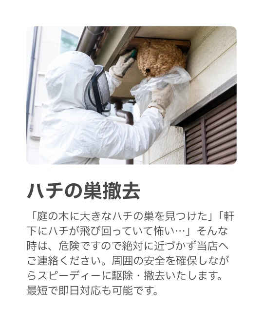 茅ヶ崎・寒川街の便利屋さん｜ハチの巣撤去